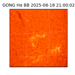 gong - 2025-08-18T21:00:02