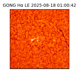 gong - 2025-08-18T01:00:42