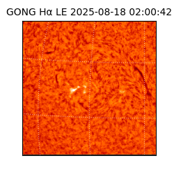 gong - 2025-08-18T02:00:42