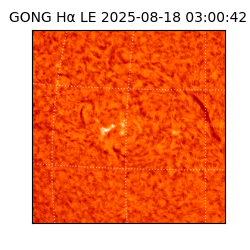 gong - 2025-08-18T03:00:42