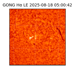 gong - 2025-08-18T05:00:42