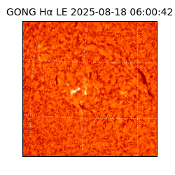 gong - 2025-08-18T06:00:42