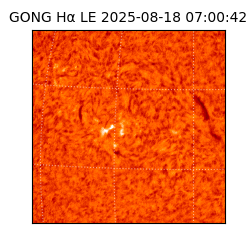 gong - 2025-08-18T07:00:42
