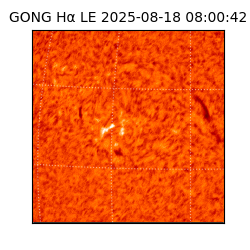 gong - 2025-08-18T08:00:42