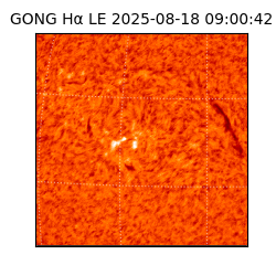 gong - 2025-08-18T09:00:42