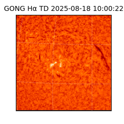 gong - 2025-08-18T10:00:22