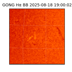 gong - 2025-08-18T19:00:02