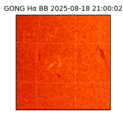 gong - 2025-08-18T21:00:02