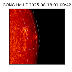 gong - 2025-08-18T01:00:42