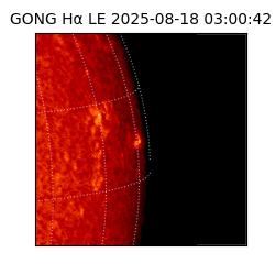 gong - 2025-08-18T03:00:42