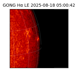 gong - 2025-08-18T05:00:42