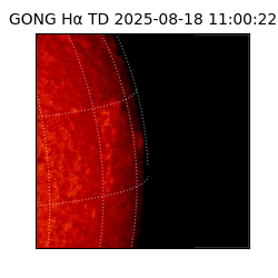 gong - 2025-08-18T11:00:22
