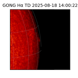 gong - 2025-08-18T14:00:22