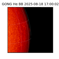 gong - 2025-08-18T17:00:02