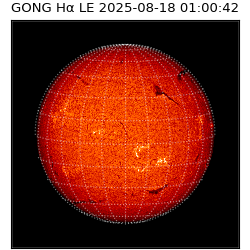 gong - 2025-08-18T01:00:42
