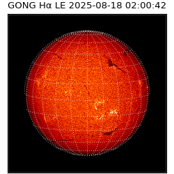 gong - 2025-08-18T02:00:42