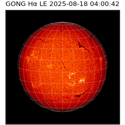 gong - 2025-08-18T04:00:42