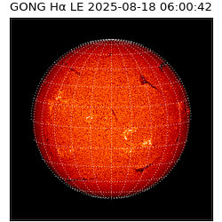 gong - 2025-08-18T06:00:42