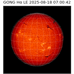 gong - 2025-08-18T07:00:42