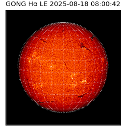 gong - 2025-08-18T08:00:42