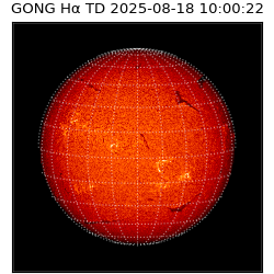 gong - 2025-08-18T10:00:22