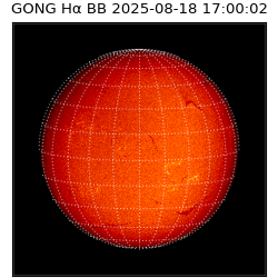 gong - 2025-08-18T17:00:02