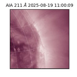 saia - 2025-08-19T11:00:09.626000