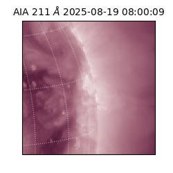 saia - 2025-08-19T08:00:09.626000