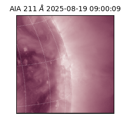 saia - 2025-08-19T09:00:09.626000