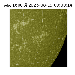 saia - 2025-08-19T09:00:14.125000