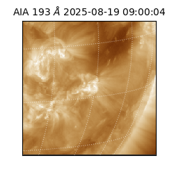 saia - 2025-08-19T09:00:04.843000
