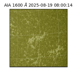 saia - 2025-08-19T08:00:14.125000