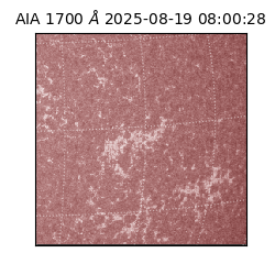 saia - 2025-08-19T08:00:28.717000