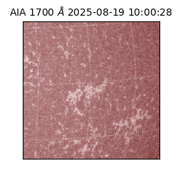 saia - 2025-08-19T10:00:28.718000