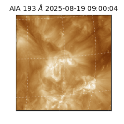 saia - 2025-08-19T09:00:04.843000