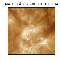saia - 2025-08-19T10:00:04.843000