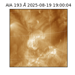 saia - 2025-08-19T19:00:04.842000