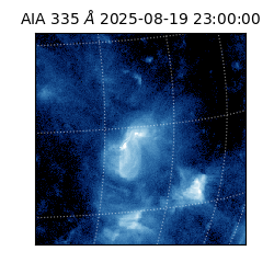 saia - 2025-08-19T23:00:00.625000