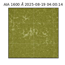 saia - 2025-08-19T04:00:14.125000