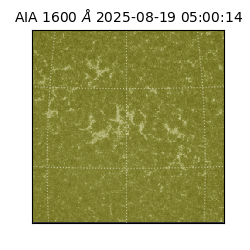 saia - 2025-08-19T05:00:14.117000