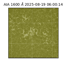 saia - 2025-08-19T06:00:14.126000