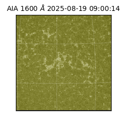 saia - 2025-08-19T09:00:14.125000