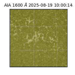 saia - 2025-08-19T10:00:14.130000