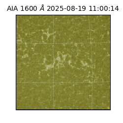 saia - 2025-08-19T11:00:14.125000