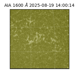 saia - 2025-08-19T14:00:14.125000