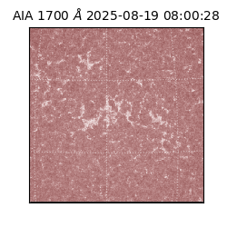 saia - 2025-08-19T08:00:28.717000