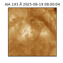 saia - 2025-08-19T08:00:04.843000