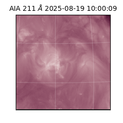 saia - 2025-08-19T10:00:09.626000