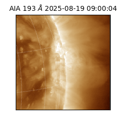 saia - 2025-08-19T09:00:04.843000