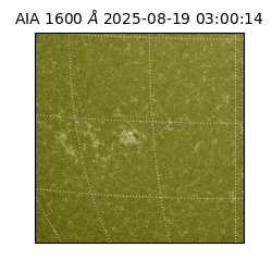 saia - 2025-08-19T03:00:14.126000
